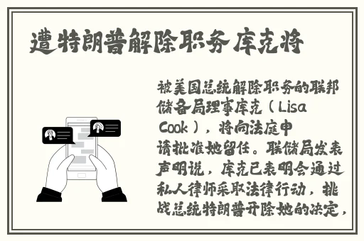 精品久久久久久中文无码